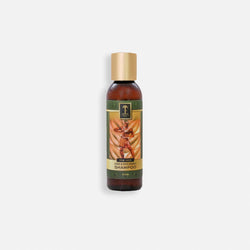 Men’s Tropical Lime & Patchouli Shampoo Shampoo Island-Essence-Cosmetics 