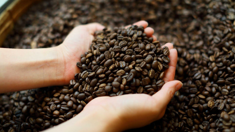 Kona Coffee Artisan Blend Coffee Island Essence 