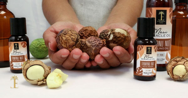 Tamanu Oil Uses And Benefits For The Skin