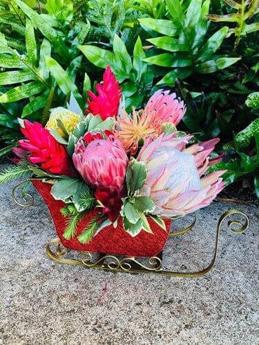 How do they Celebrate Christmas in Hawaii?