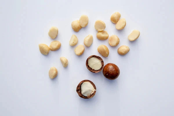 Organic Macadamias with Sea Salt from the Big Island Nuts Island Essence 