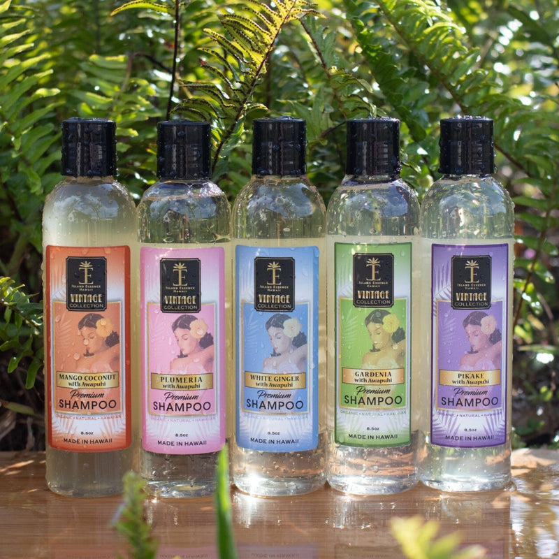 awapuhi plant seeds Shampoo with Awapuhi in 5 Tropical Varieties Gardenia