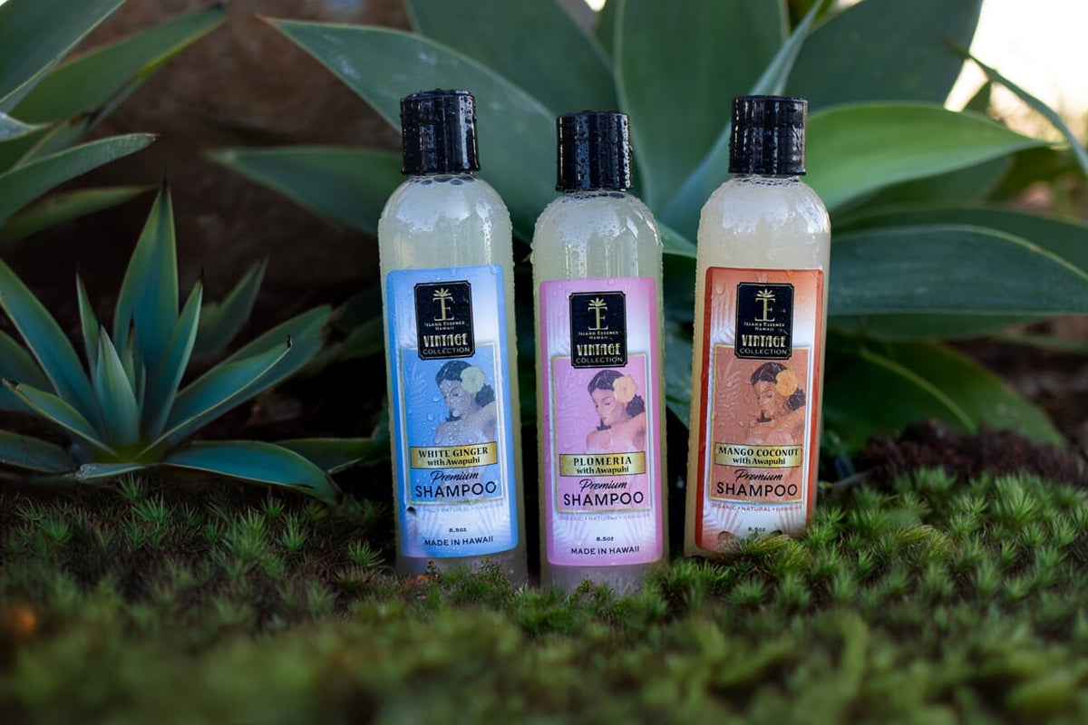 Premium Vintage Shampoo with Awapuhi--3 Tropical Varieties Shampoo Island-Essence-Cosmetics 