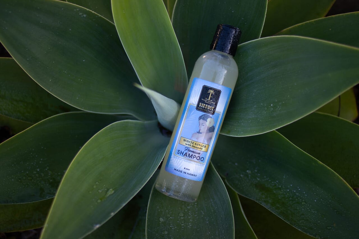 Shampoo with Awapuhi in 5 Tropical Varieties – Island Essence