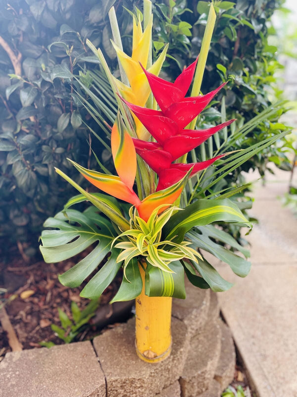 Maui Mana--Maui's Finest Flowers Flowers Island-Essence-Cosmetics 