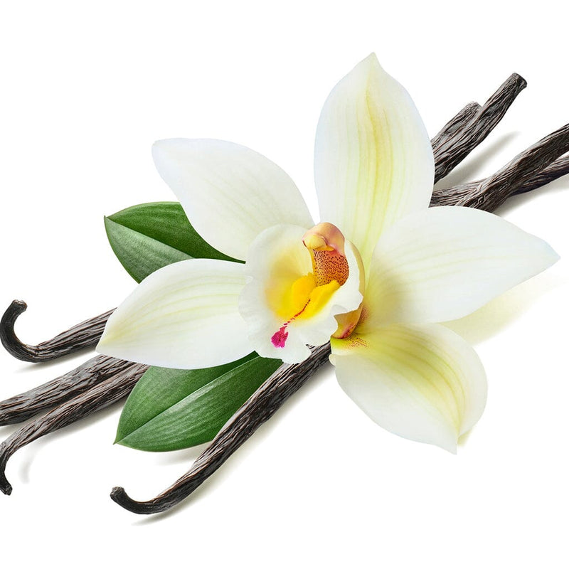 Kukui Nourishing Oil--Maui Miracle Oil Oil Island-Essence-Cosmetics 
