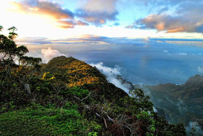 Local Pikake Lei Candle candle Island-Essence-Cosmetics 