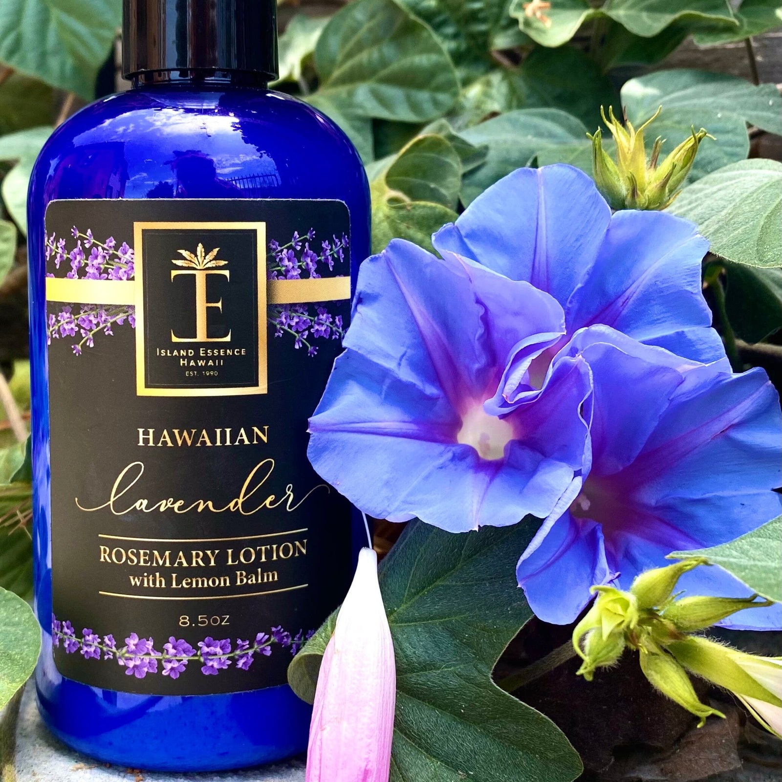 Hawaiian Lavender Rosemary Lotion w/ Lemon Balm – Island Essence