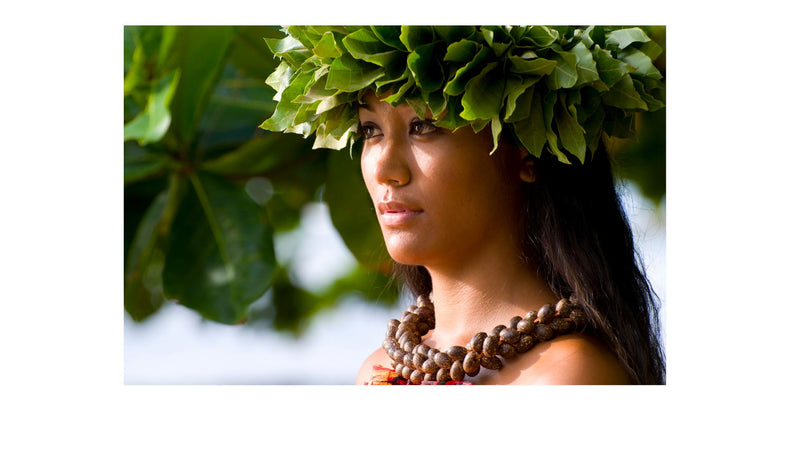 Maile Body Creme--Rainforest Collection Lotion Island-Essence-Cosmetics 