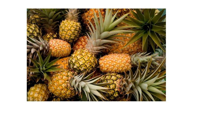 Premium Coconut & Pineapple Hawaiian Gift Basket Bundle Island-Essence-Cosmetics 