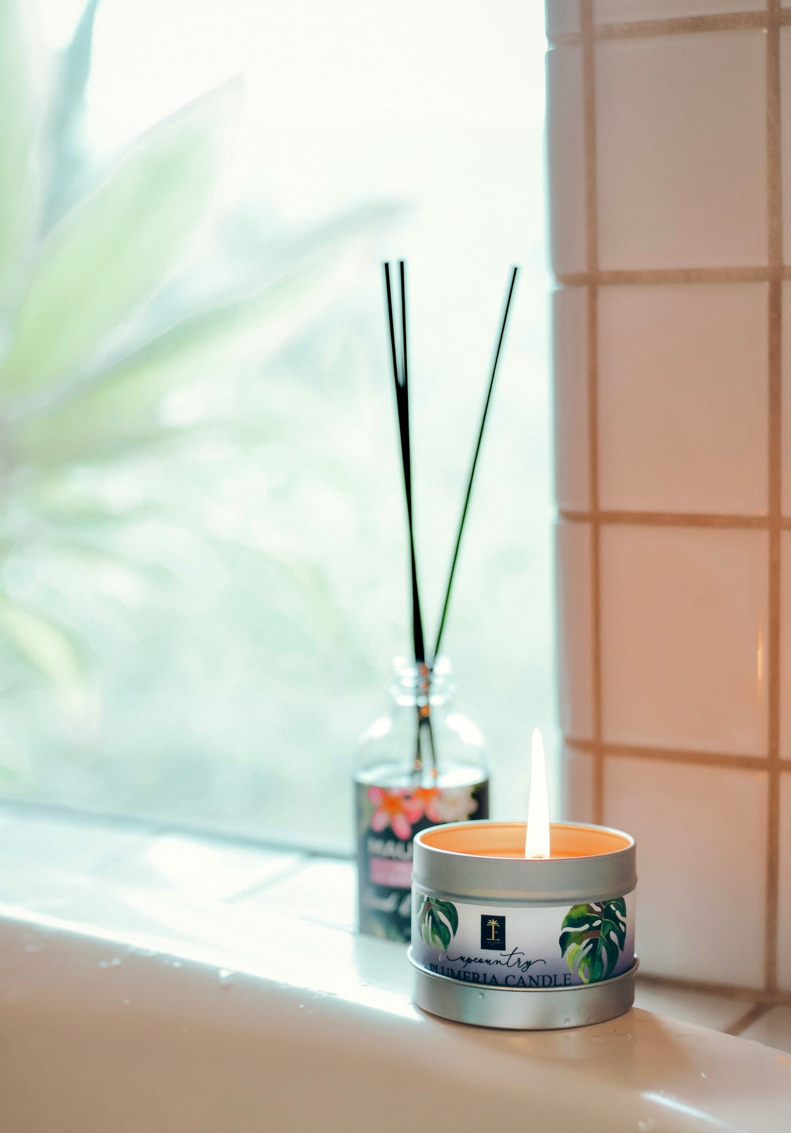 yl succulent diffuser Tropical Reed Diffuser--2 Varieties – Island Essence