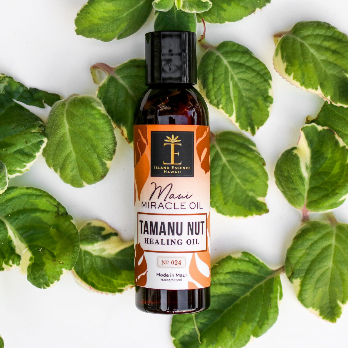 Tamanu Nut Healing Oil – Island Essence
