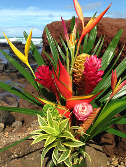 Tropical Paradise Collections in 3 sizes--Maui's Finest Flowers Flowers Island-Essence-Cosmetics 