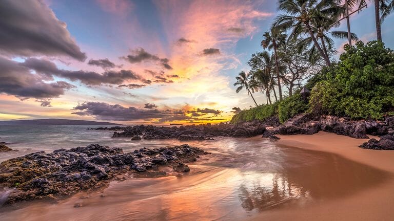 Hawaiian Lavender Shea Butter Soap Soap Island-Essence-Cosmetics 