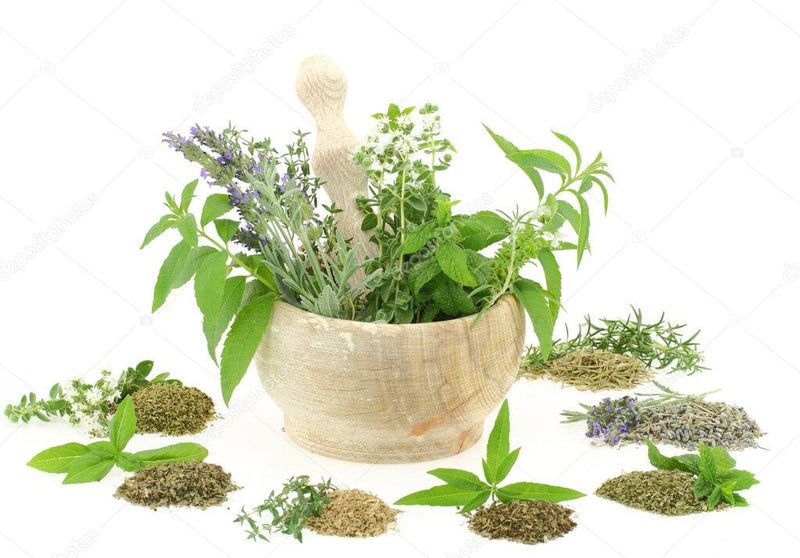 Hawaiian Lavender Rosemary Lotion with Lemon Balm-Natural Repellant Lotion Island-Essence-Cosmetics 