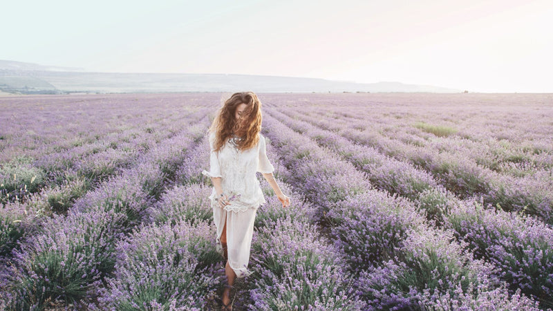 Hawaiian Lavender & Orchid Body Butter Body Butter Island-Essence-Cosmetics 